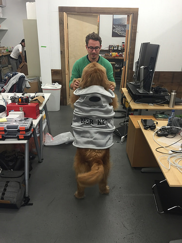 Duke the dog dressed as a can of beer