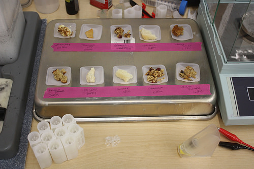 Food testing